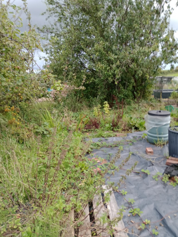 IMG_20230821_192805693_MFNR