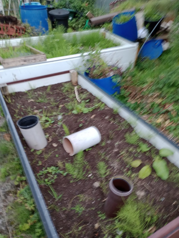 IMG_20230821_192811688_MFNR