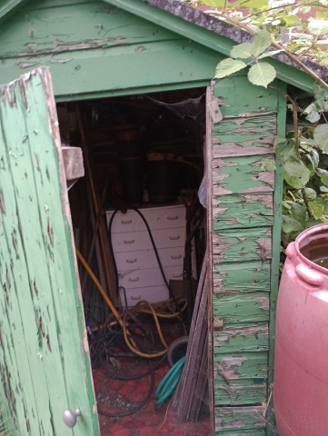 IMG_20230821_192838157_MFNR