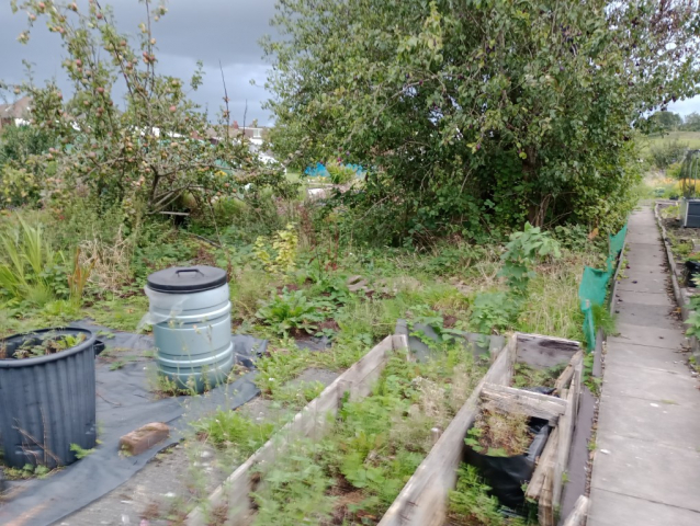 IMG_20230821_192856753_MFNR