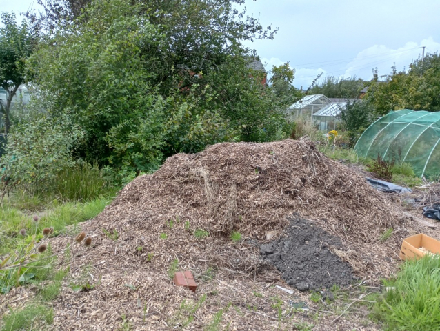 Compost pile